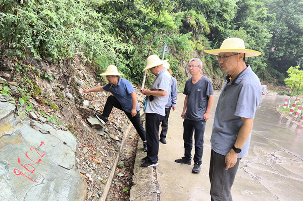 041720085490796258.jpeg 2.jpg